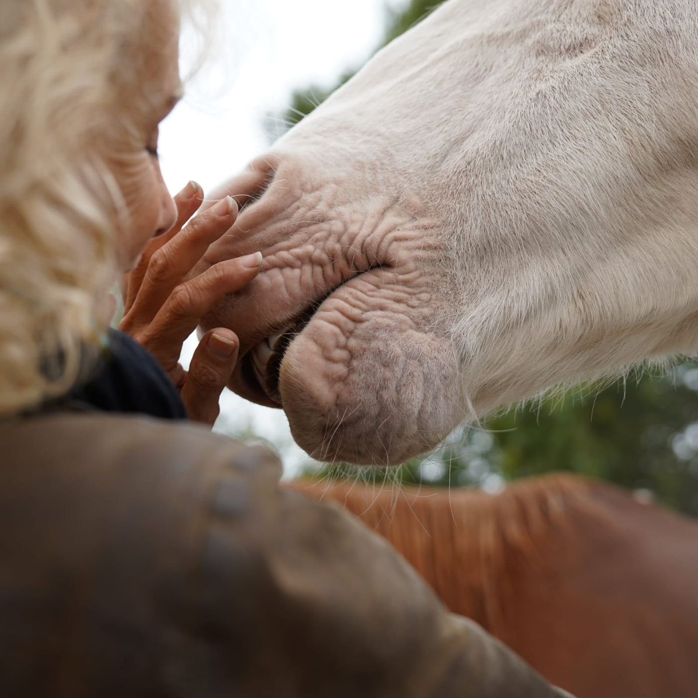 L'appel, sur le dos du cheval